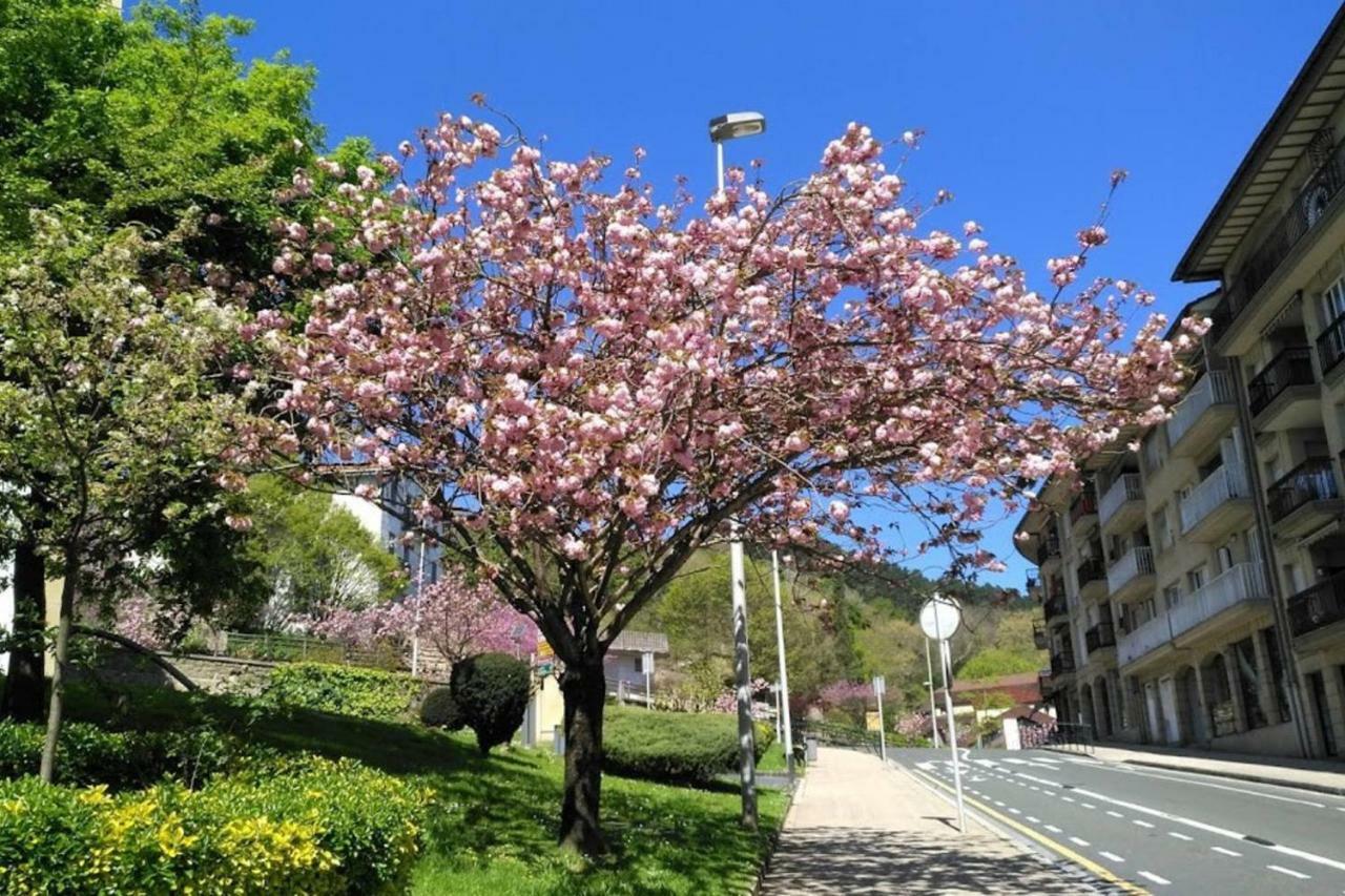 Kaixo Museum Con Parking Gratis Lägenhet Zarautz Exteriör bild